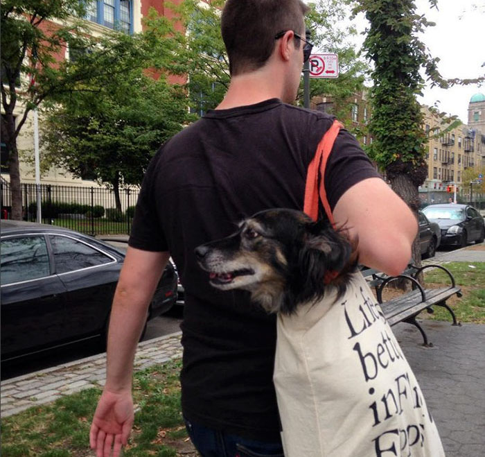 tote bag dog