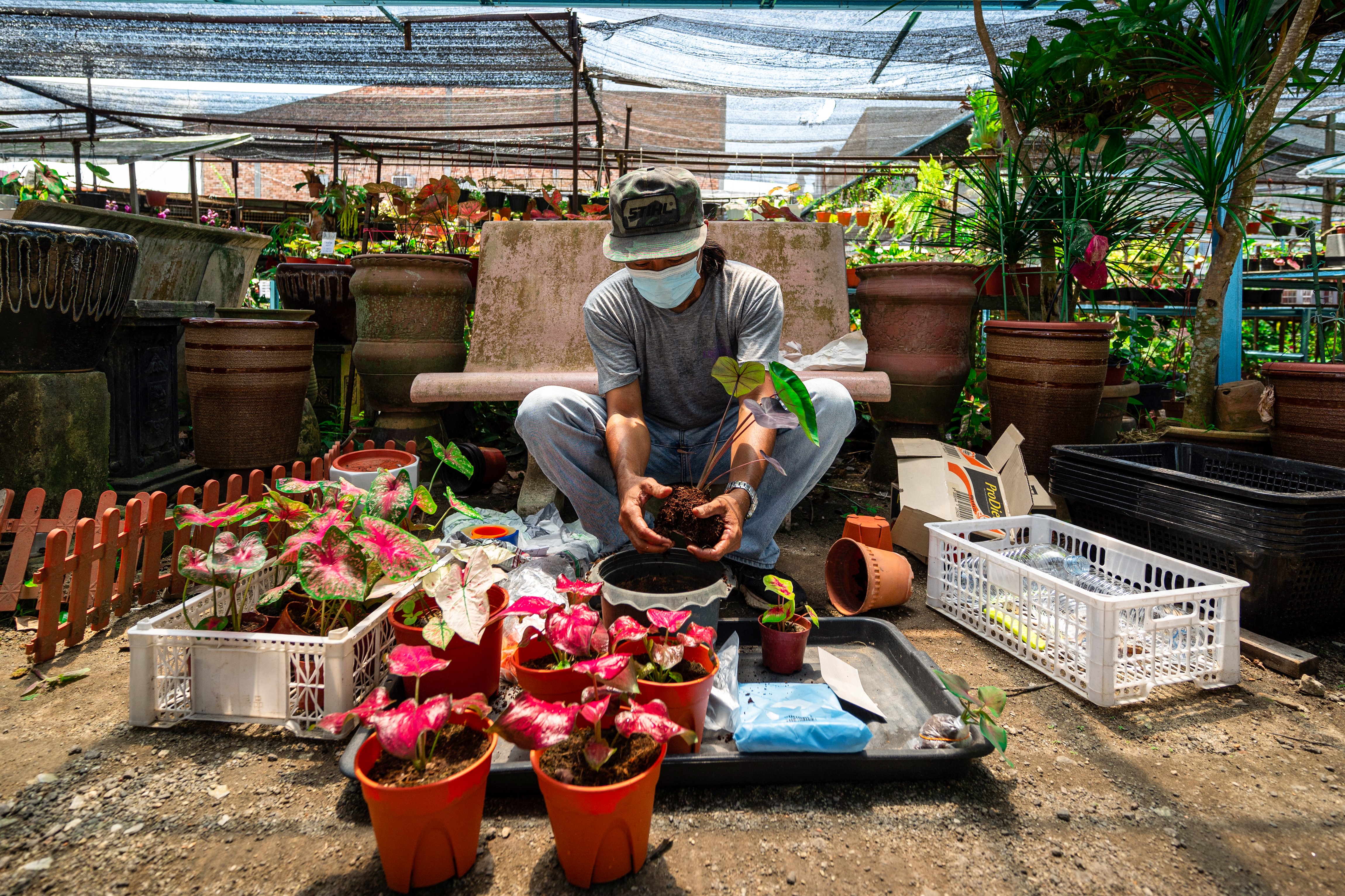 covid malaysia pandemic aftermath