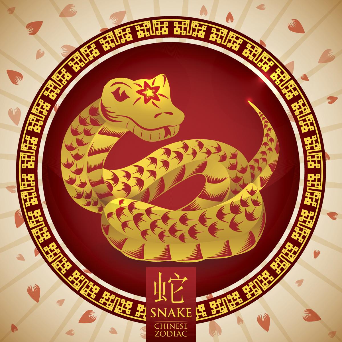 6 - Snake