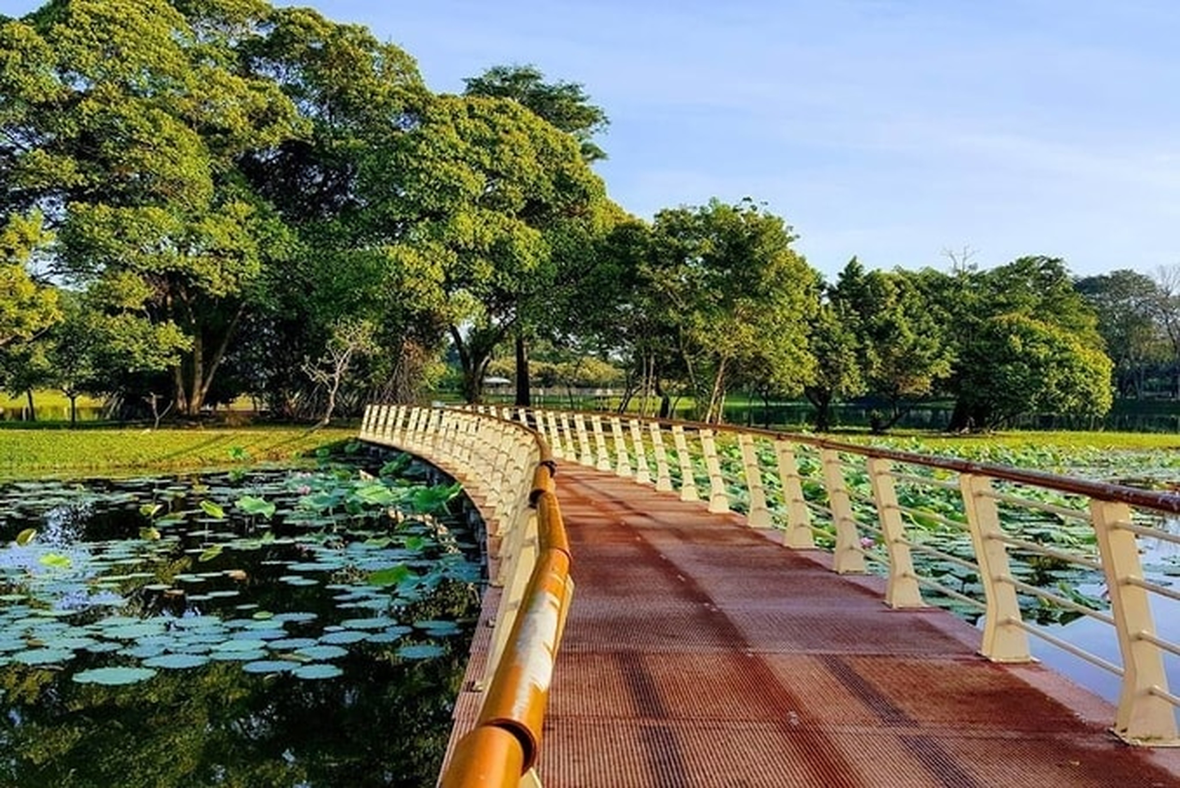 Cyberjaya Lake Garden by Setia Haruman Sdn Bhd