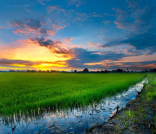 Homestay Kampung Sungai Haji Dorani 2