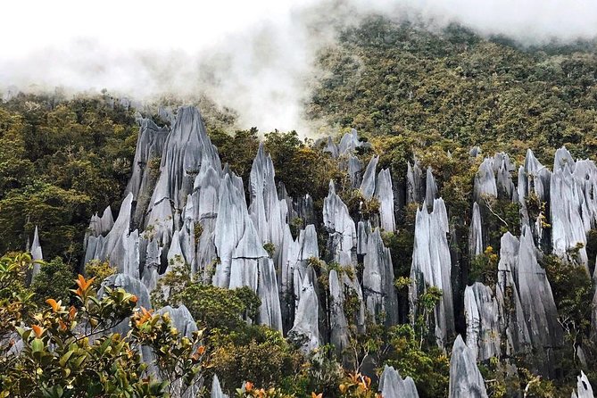 Gunung Mulu National Park