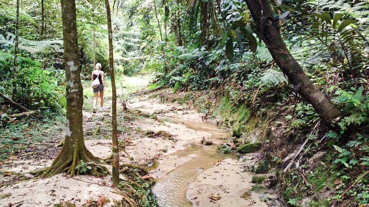 mco malaysia climb trekking hiking