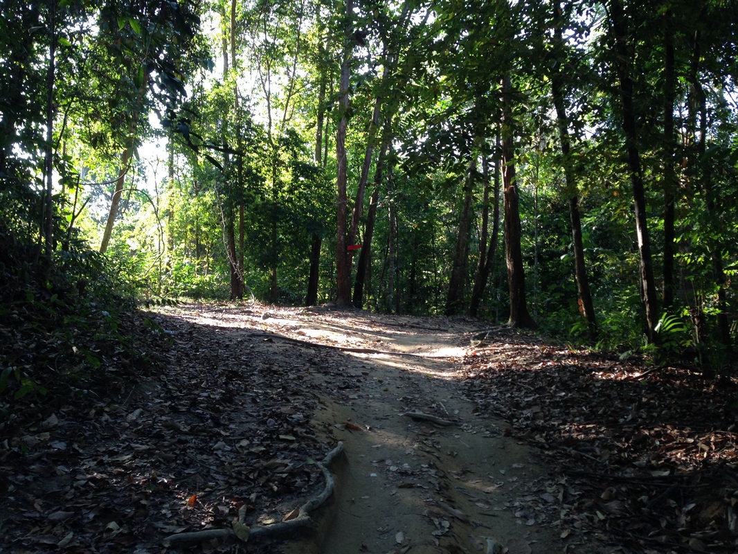 mco malaysia climb hiking trekking