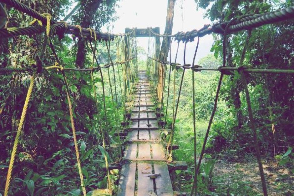 Mulu National Park