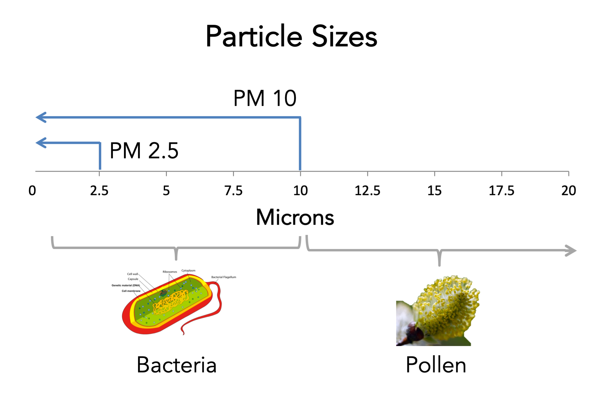 Particle-Sizes-PM10-vs-PM2.5-EN