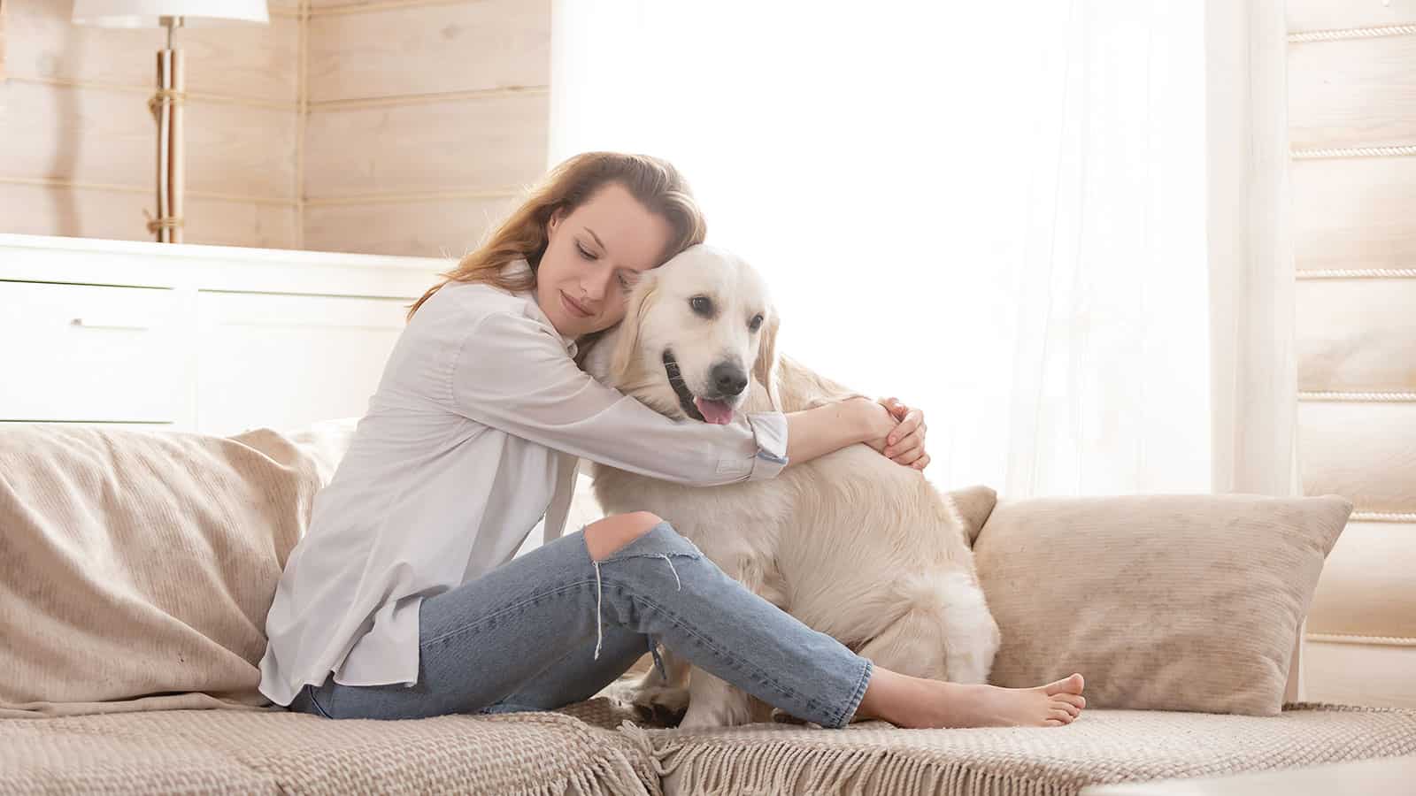 Research-Reveals-How-Emotional-Support-Animals-Help-Relieve-PTSD
