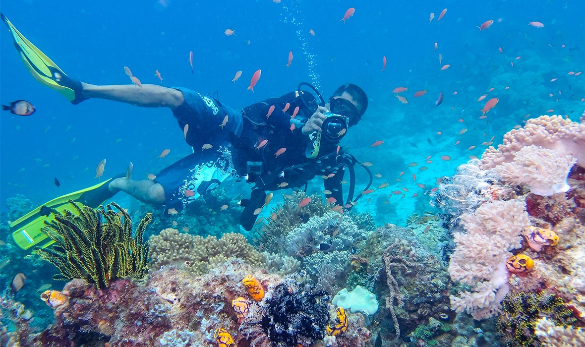 Sipadan Dive