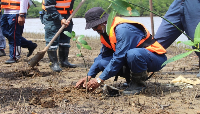 A man planting a plant