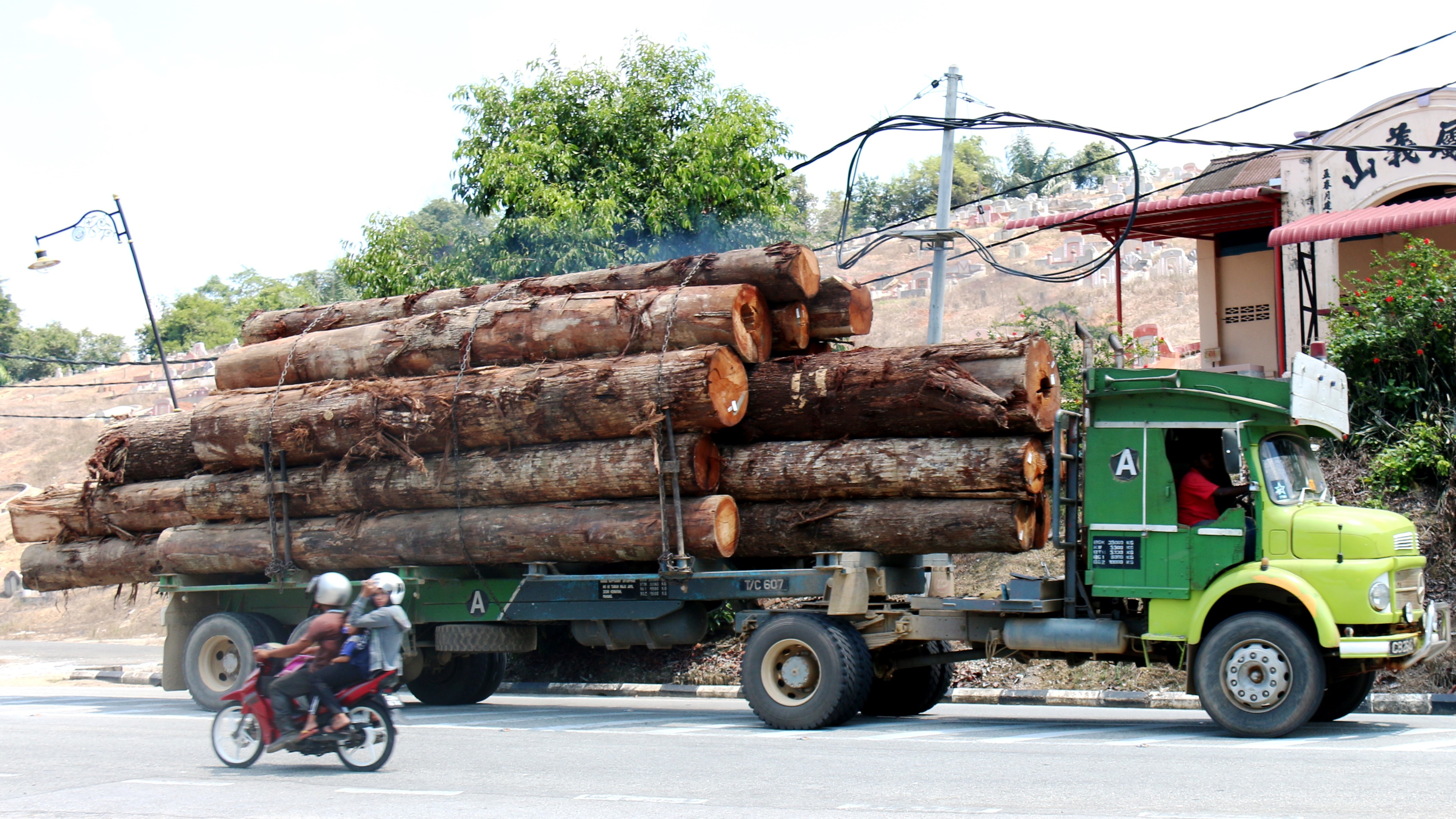 Transporting timber cameron highlands geography.org.uk