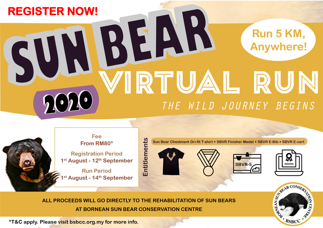 Virtual Run