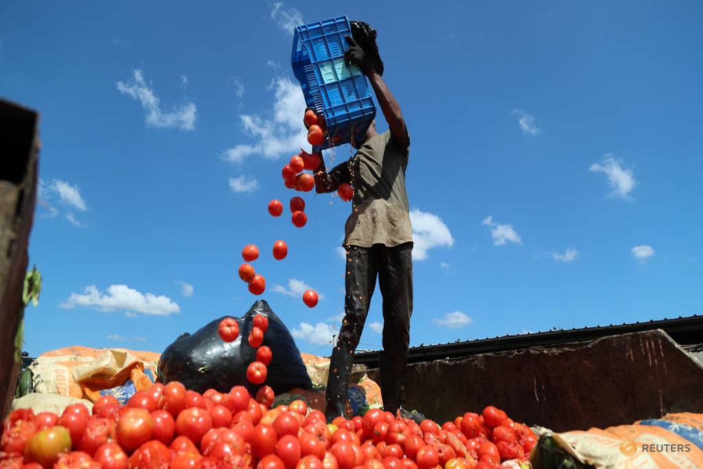 fresh-produce-being-discarded