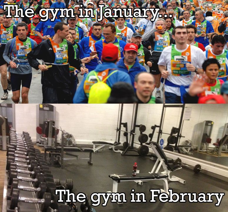 Gym Memberships