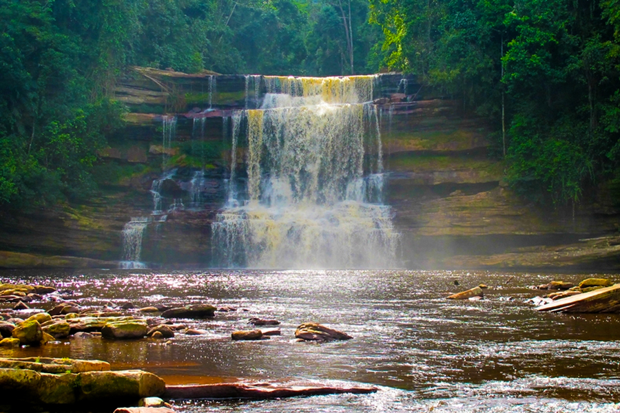 maliau basin borneo sabah malaysia 130 rainforest