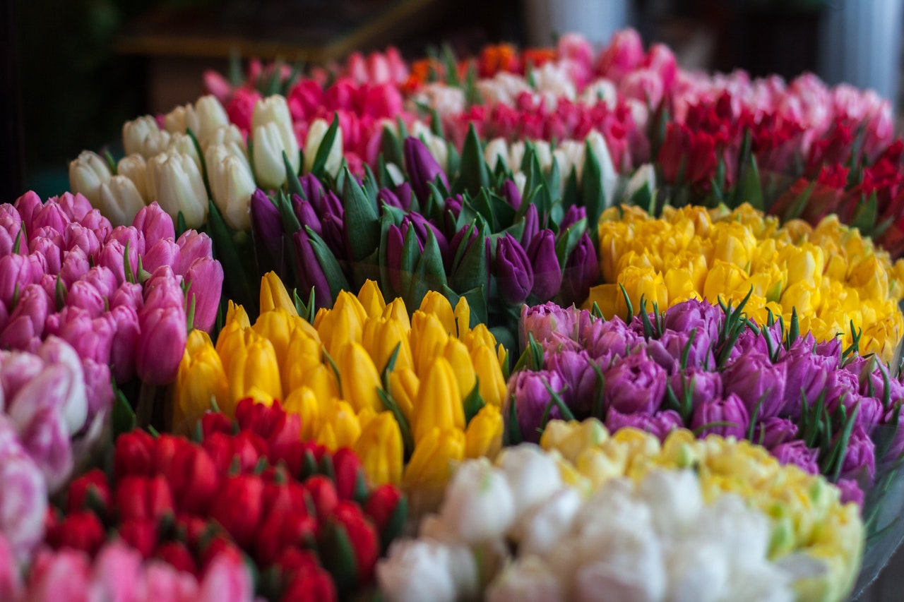 Flower Bouquet