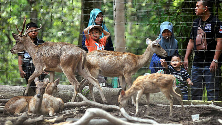 Taman Botani Shah Alam