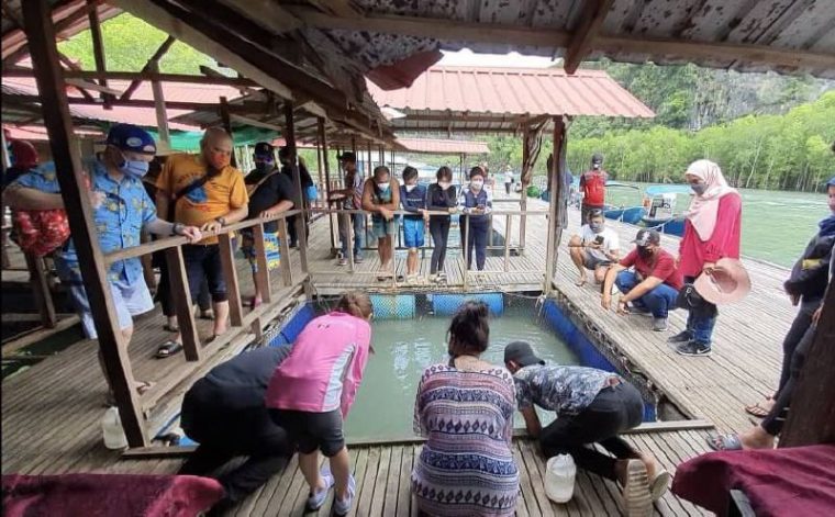 floating fish restaurant