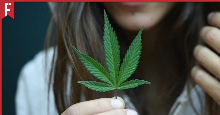 weed legalisation