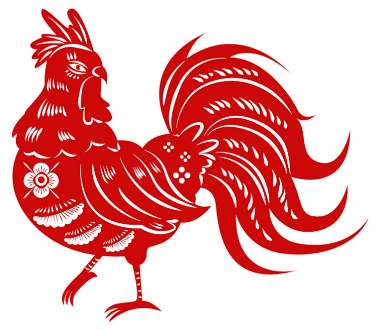 Rooster