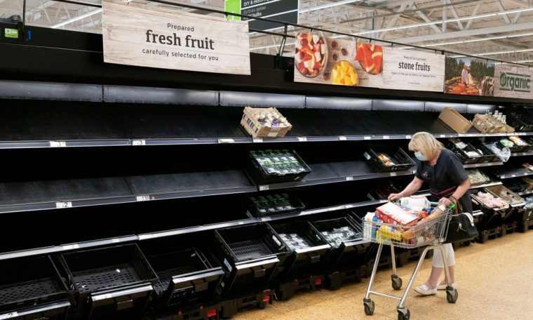 empty food shelves