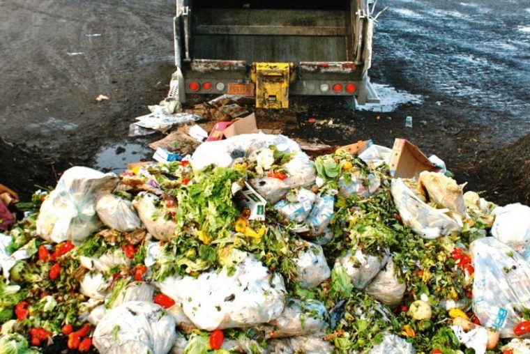 Terrible Food Waste