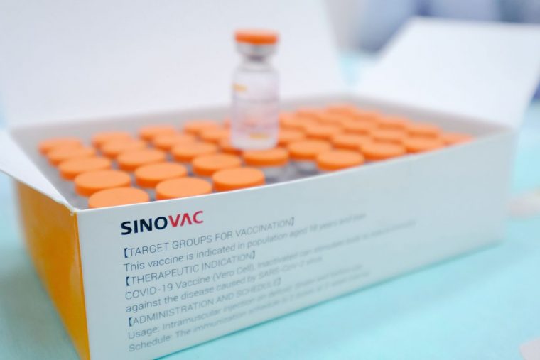 Sinovac Vaccines