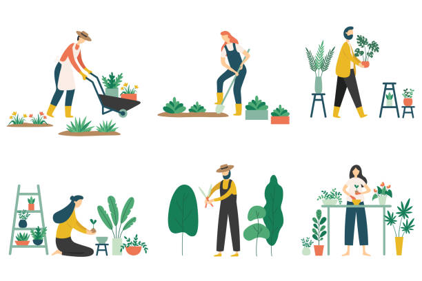 People gardening. Woman planting gardens flowers, agriculture gardener hobby and garden job. Gardening person, gardener flowers cutter working. Flat vector illustration isolated icons set