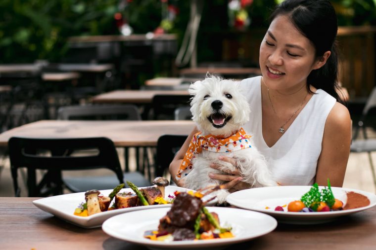 girl holding dog at cafe